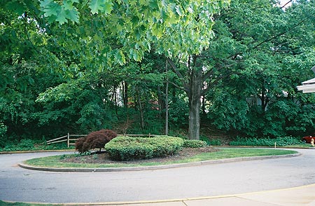 pic-home100.jpg